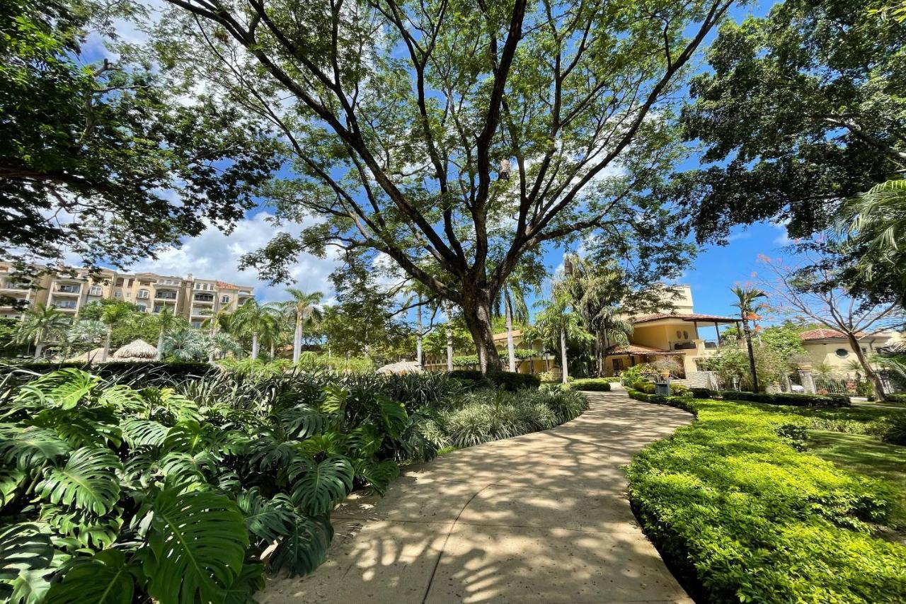 Hotel Tamarindo Diria Beach Resort エクステリア 写真