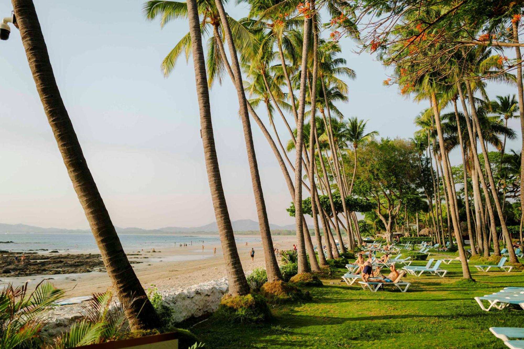 Hotel Tamarindo Diria Beach Resort エクステリア 写真